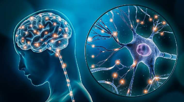 Neuroplasticity and brain rewiring for weight loss and binge eating recovery in Miami, Florida.