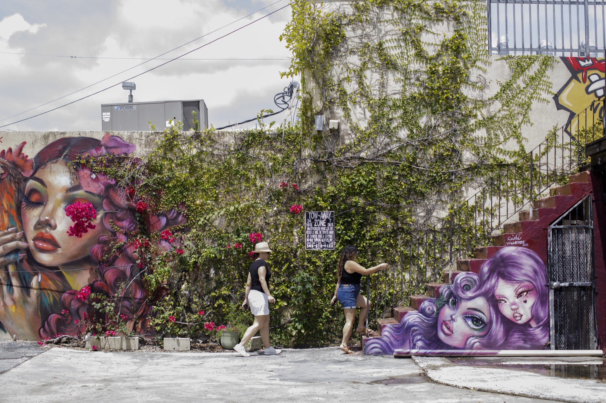 Vine-covered courtyard and mural-painted staircase leading up to Didi's studio in Little Havana